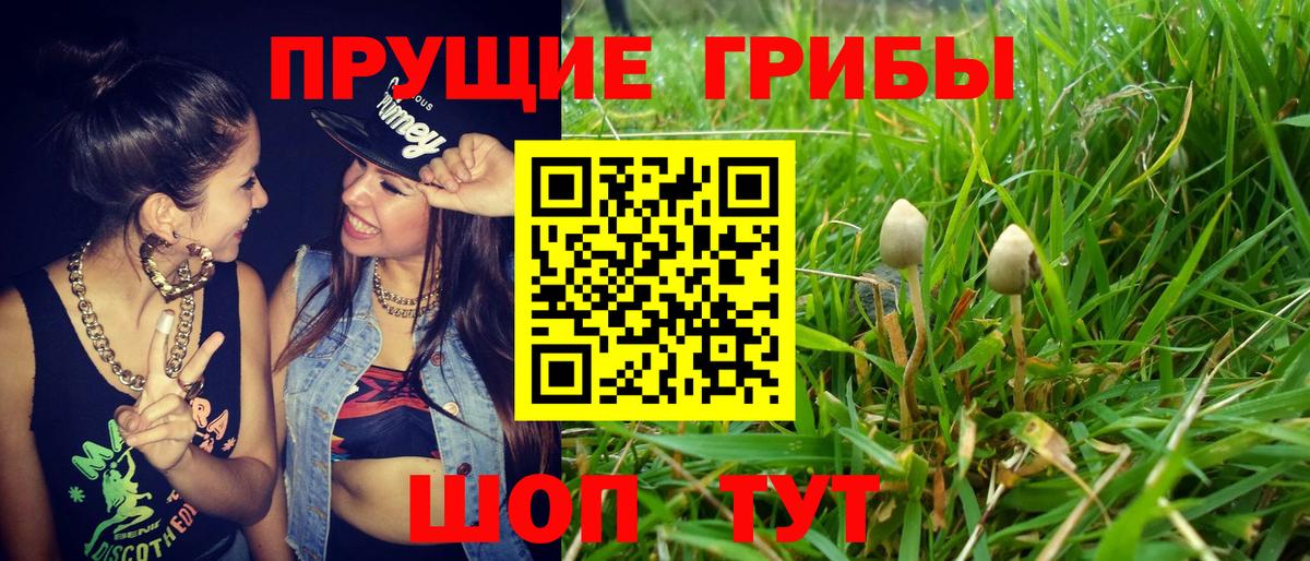 Назрань  Псилоцибиновые грибы Psilocybine cubensis  Галлюциногенные грибы Cubensis  Вход с VPN 